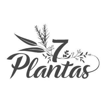 7 plantas